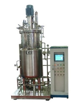 厌氧91短视频在线观看经典免费