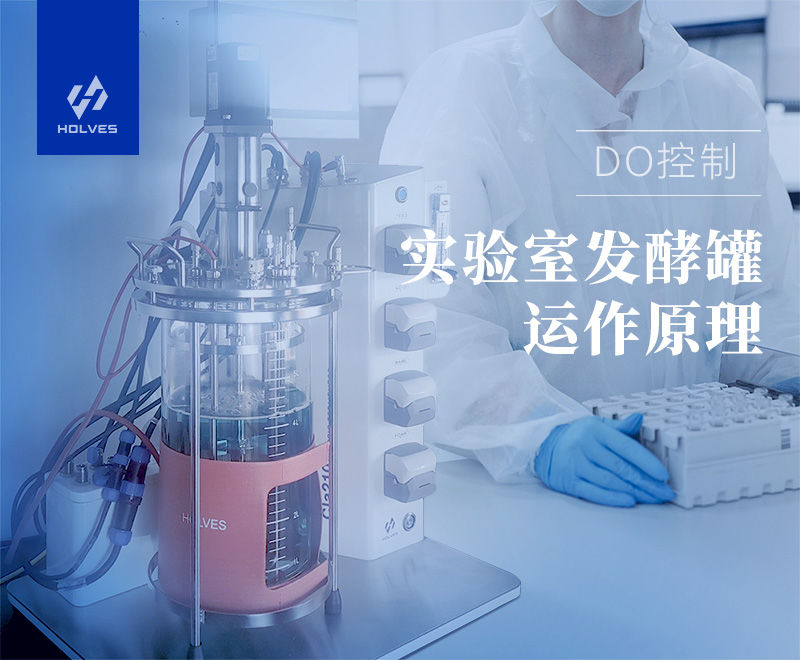 实验室91短视频在线观看经典免费 实验室91短视频在线观看经典免费