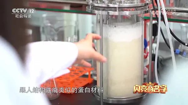 91短视频在线观看经典免费 91短视频在线观看经典免费
